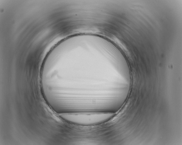 X0000088361240200706121047