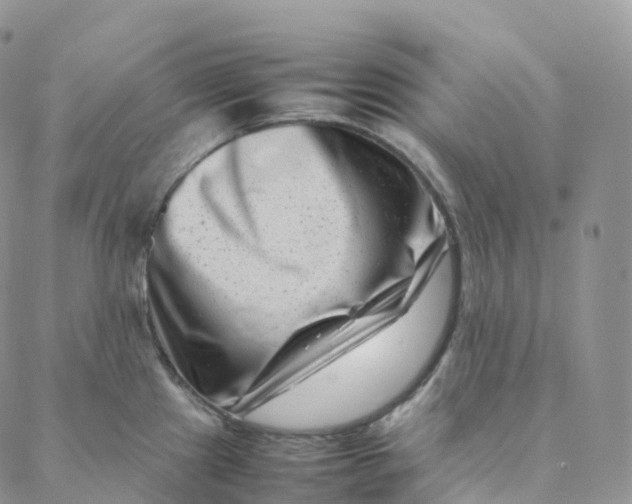 X0000088361241200706121047