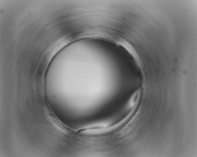 X0000088361242200706121047