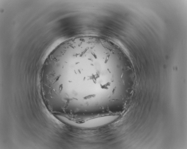 X0000088361243200706121047