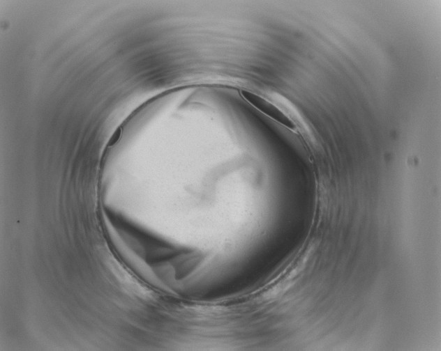 X0000088361244200706121047