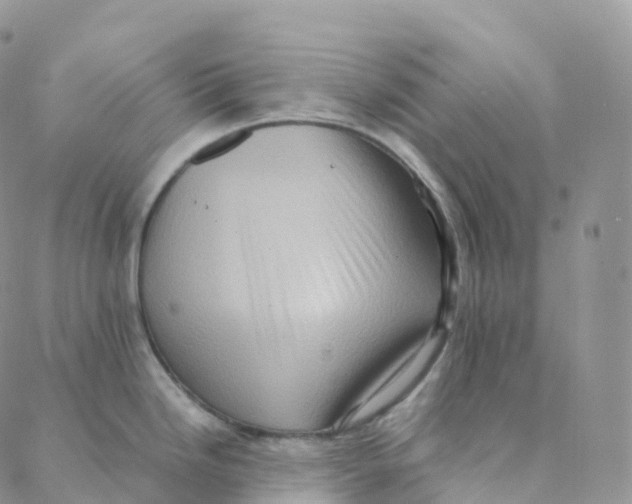 X0000088361246200706121047