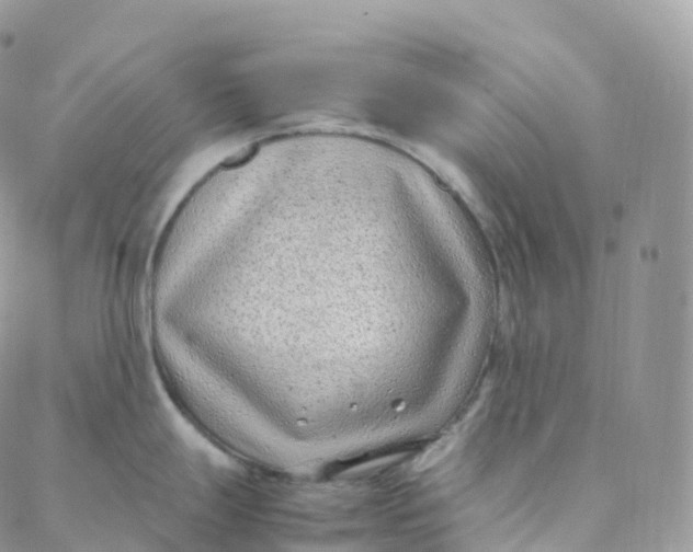 X0000088361247200706121047