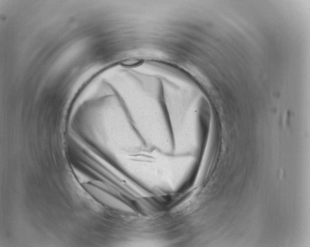 X0000088361248200706121047