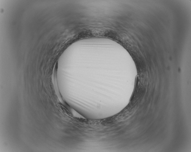 X0000088361249200706121046