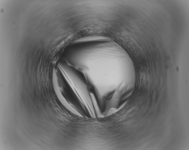 X0000088361250200706121046