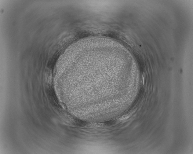 X0000088361251200706121046