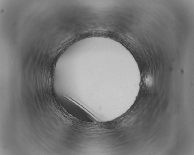 X0000088361252200706121046