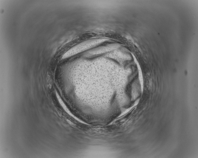 X0000088361253200706121046