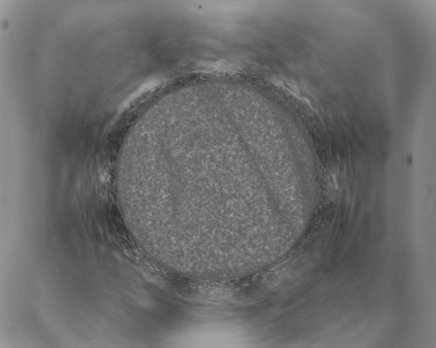 X0000088361254200706121046