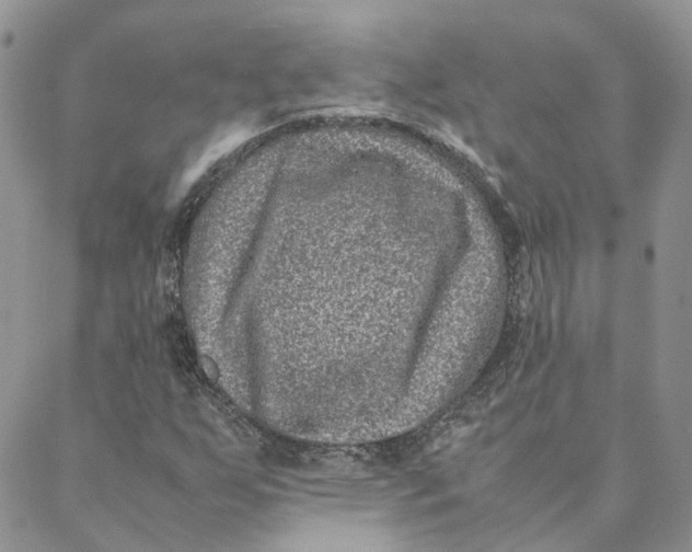 X0000088361255200706121046