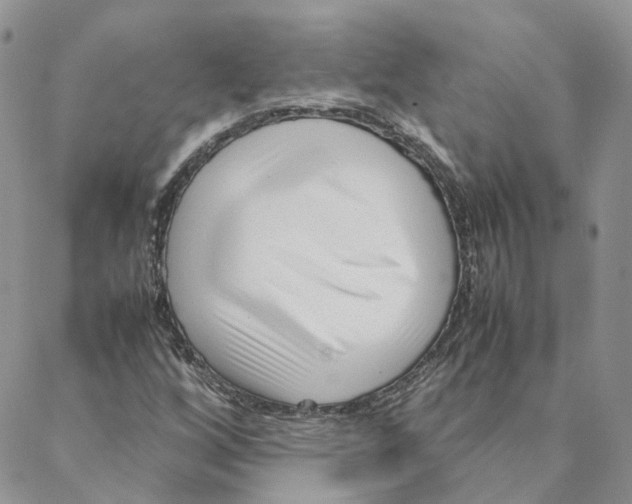 X0000088361256200706121046