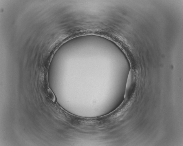 X0000088361257200706121046