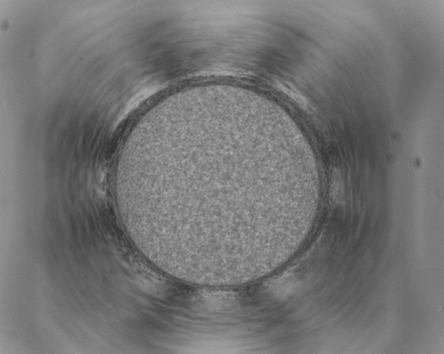 X0000088361258200706121046