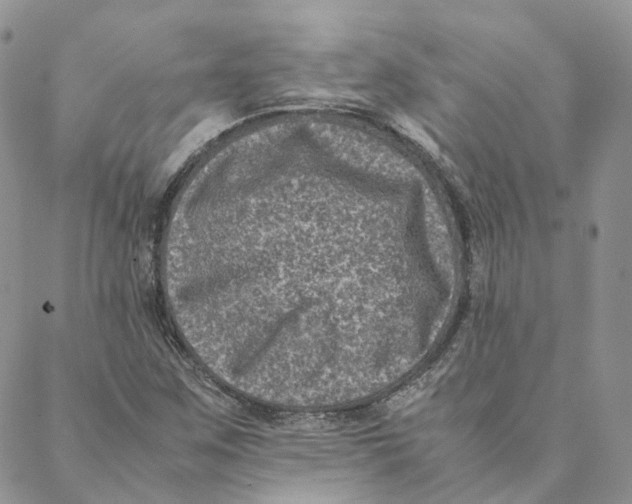 X0000088361259200706121046