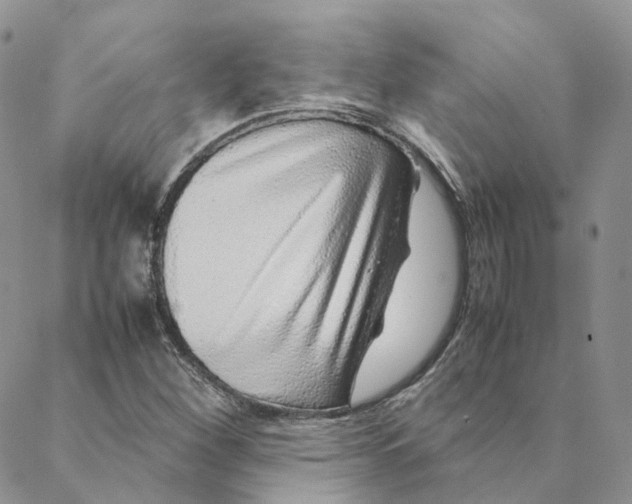 X0000088361260200706121046