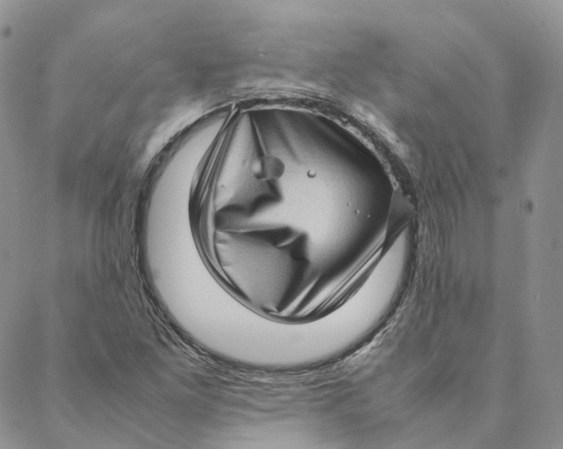 X0000088361261200706121046