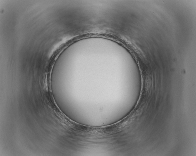 X0000088361262200706121046