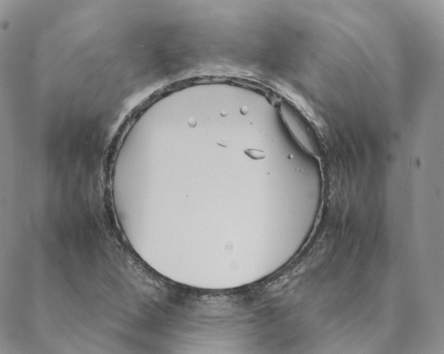 X0000088361264200706121046