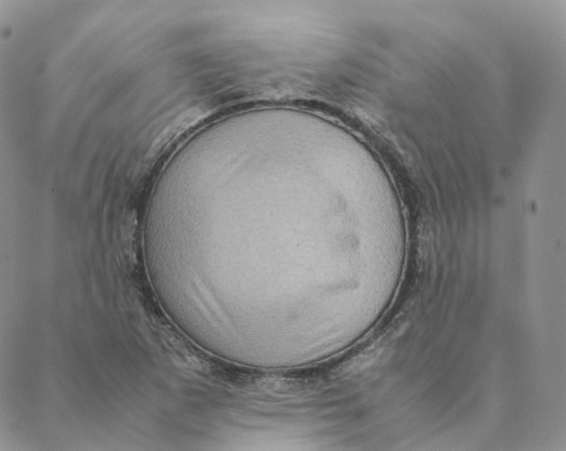 X0000088361265200706121046