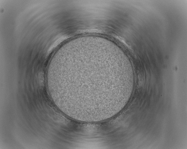 X0000088361266200706121046