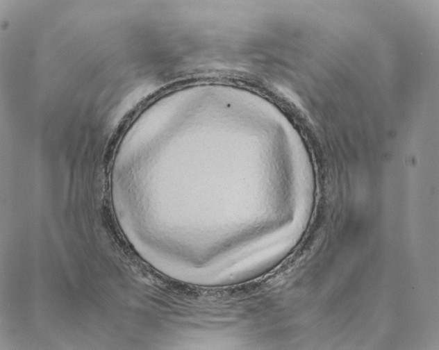 X0000088361267200706121046