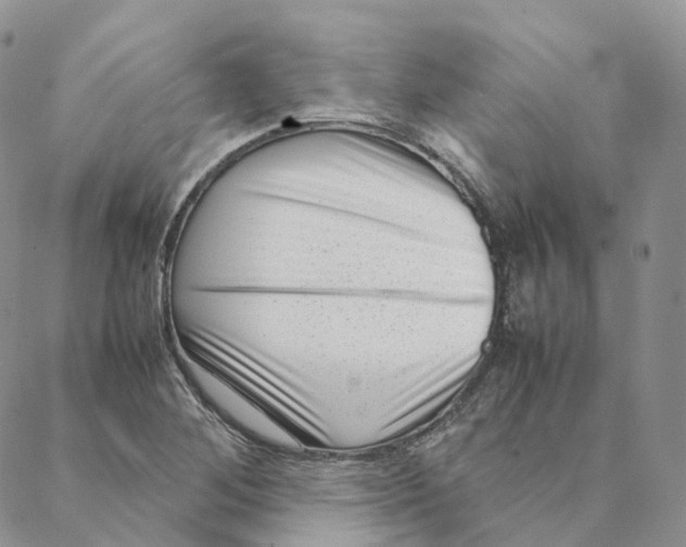 X0000088361268200706121046