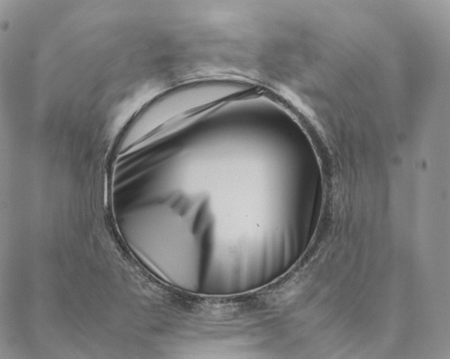 X0000088361269200706121046