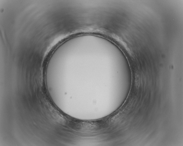 X0000088361270200706121046