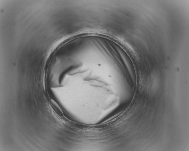 X0000088361272200706121046