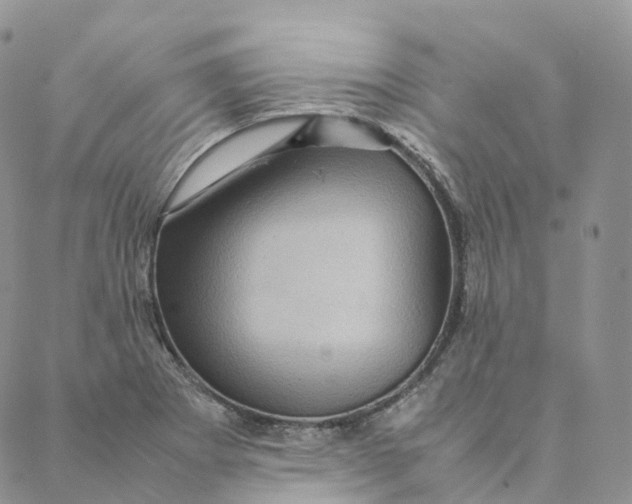 X0000088361273200706121046