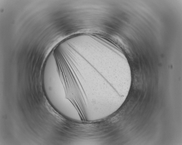 X0000088361276200706121046