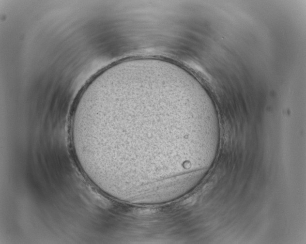 X0000088361278200706121046