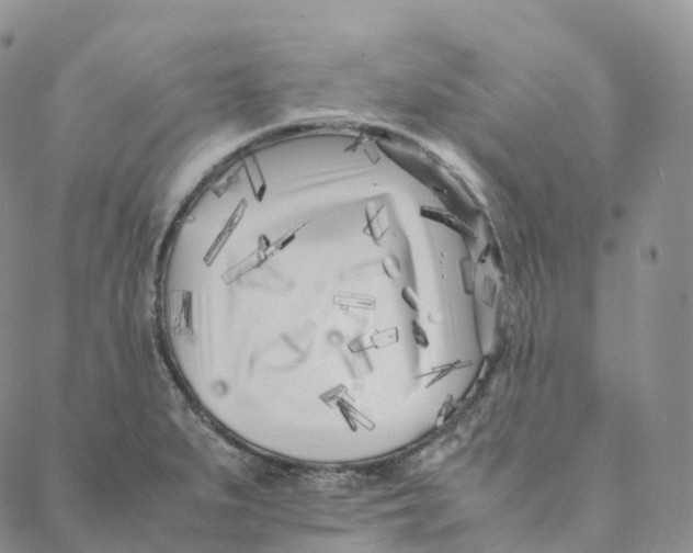 X0000088361279200706121046