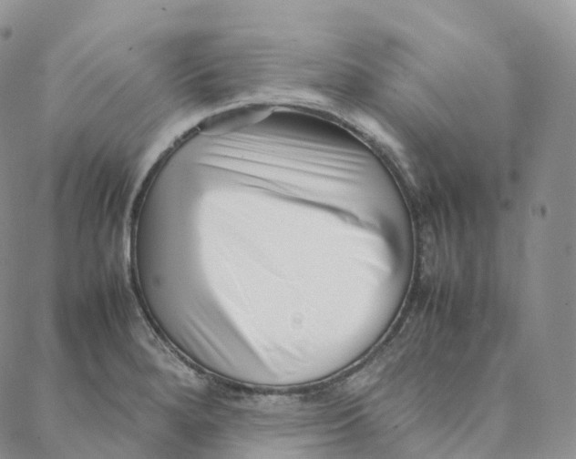 X0000088361280200706121046