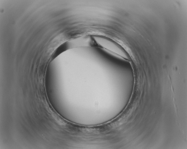 X0000088361281200706121046