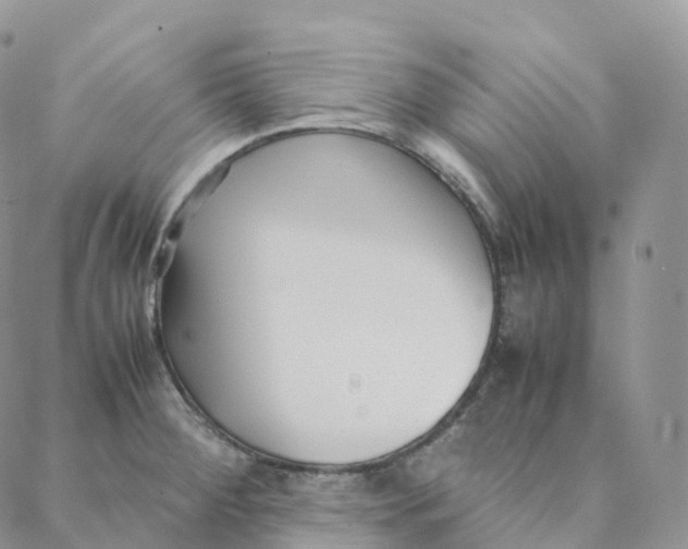 X0000088361284200706121046