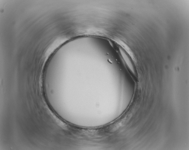 X0000088361285200706121046