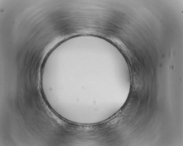 X0000088361286200706121046