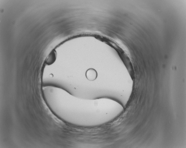 X0000088361287200706121046