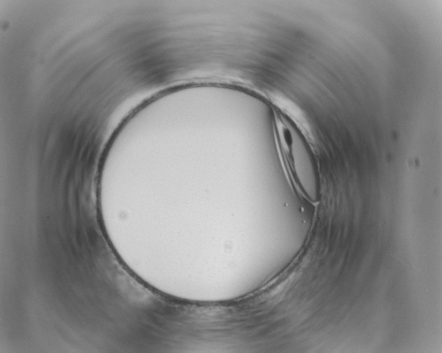 X0000088361288200706121046