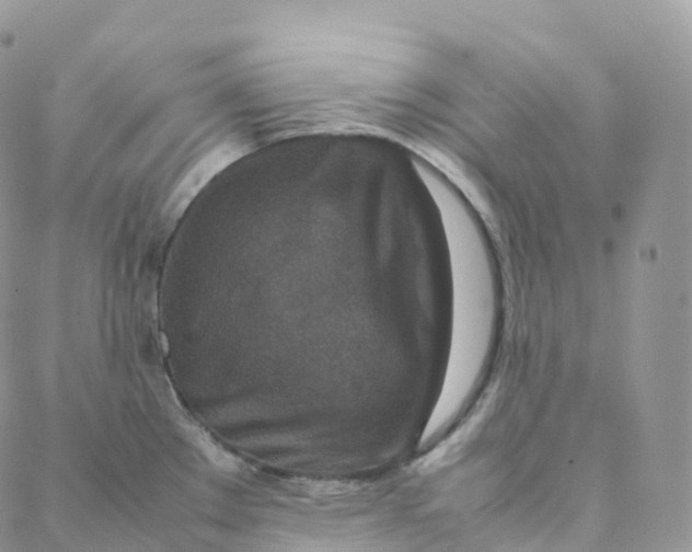 X0000088361289200706121046