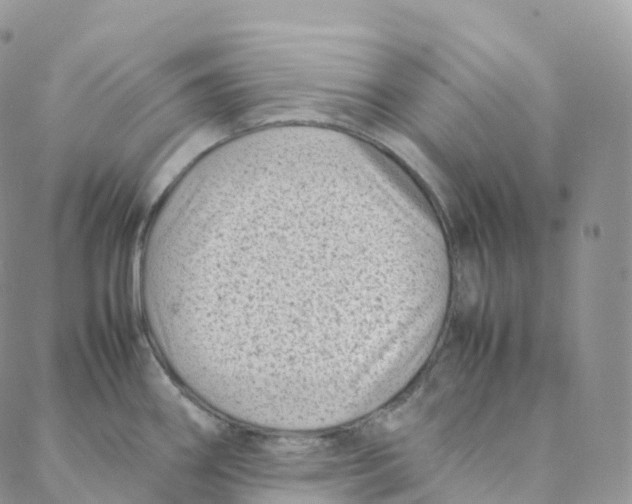 X0000088361290200706121046