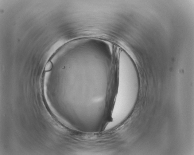 X0000088361291200706121046