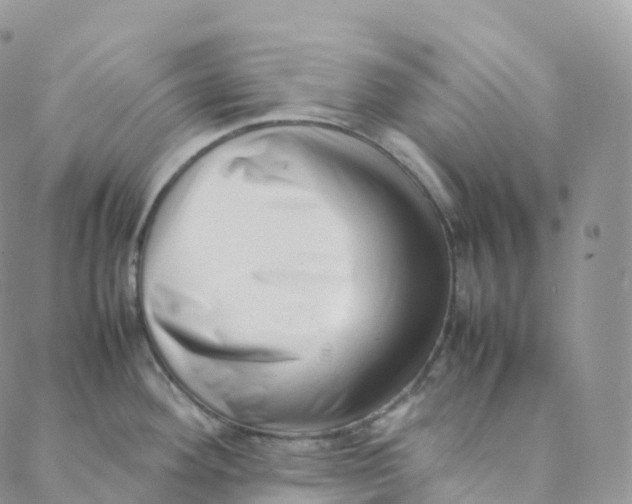 X0000088361292200706121046