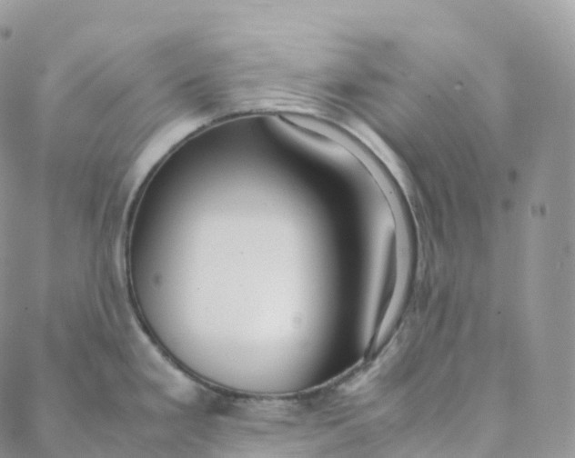 X0000088361293200706121046