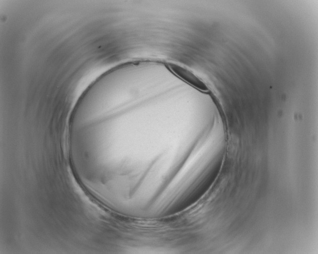 X0000088361295200706121046