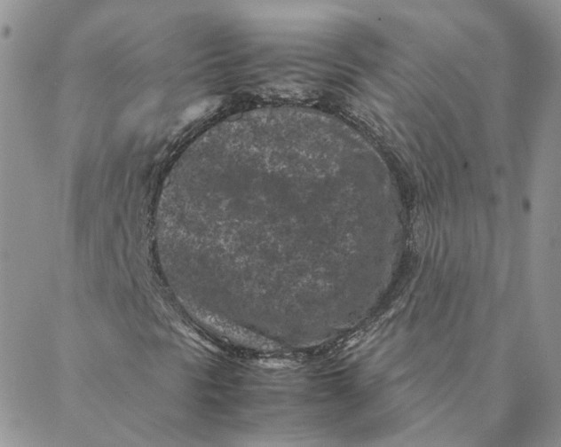 X0000088361297200706121045