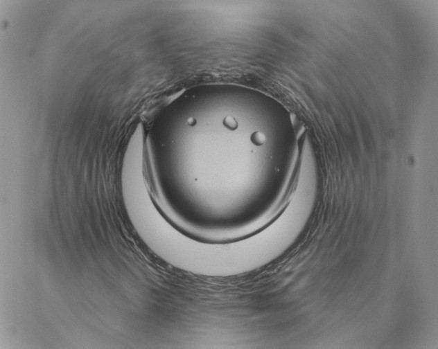 X0000088361298200706121045