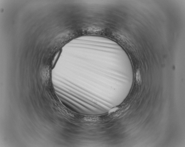 X0000088361299200706121045